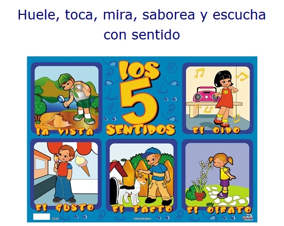 los-sentidos