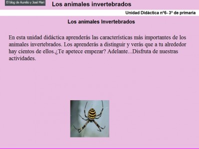 invertebrados