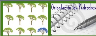 Orientación Los Pedroches