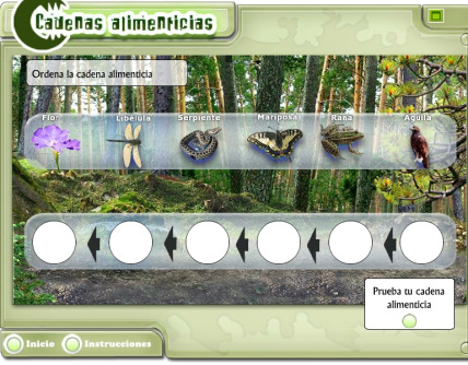 cadenas alimenticias