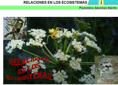 ecosistemas relaciones