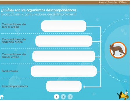 cadenas alimenticias