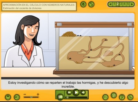 estimacion del cociente