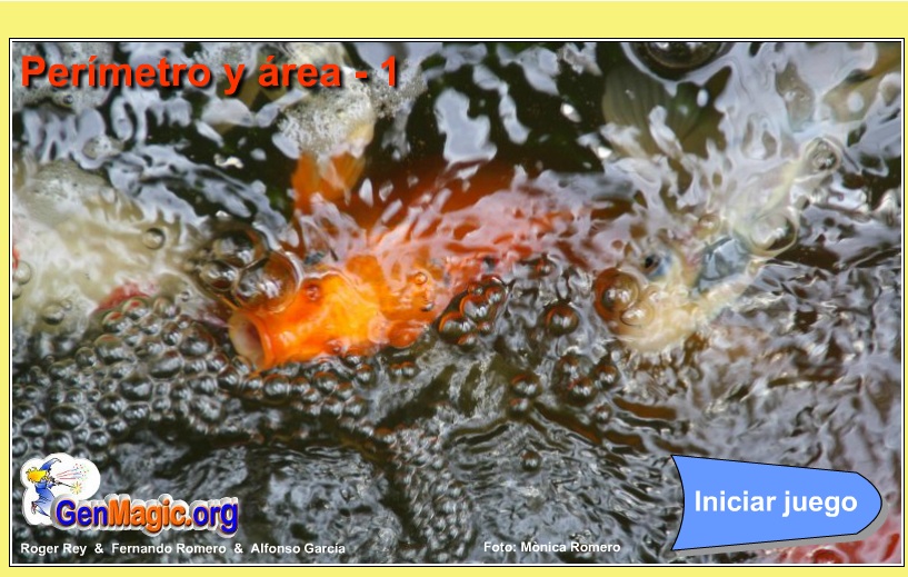 perimetros y areas