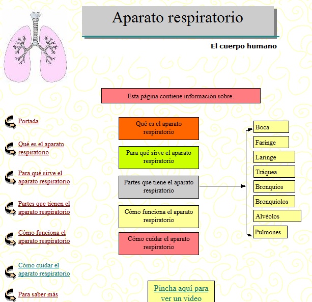 aparato respiratorio